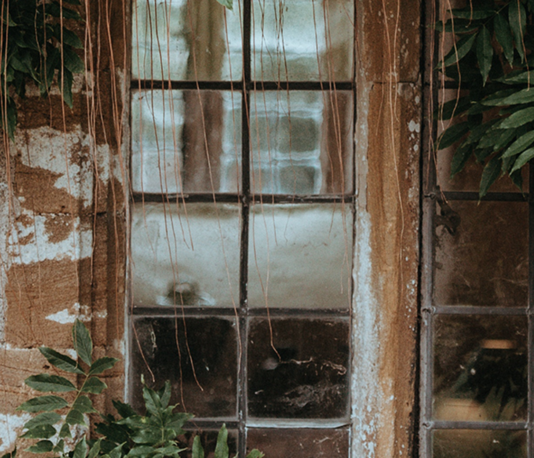 THE WISE AND WISDOM | Dr Katie Haldane