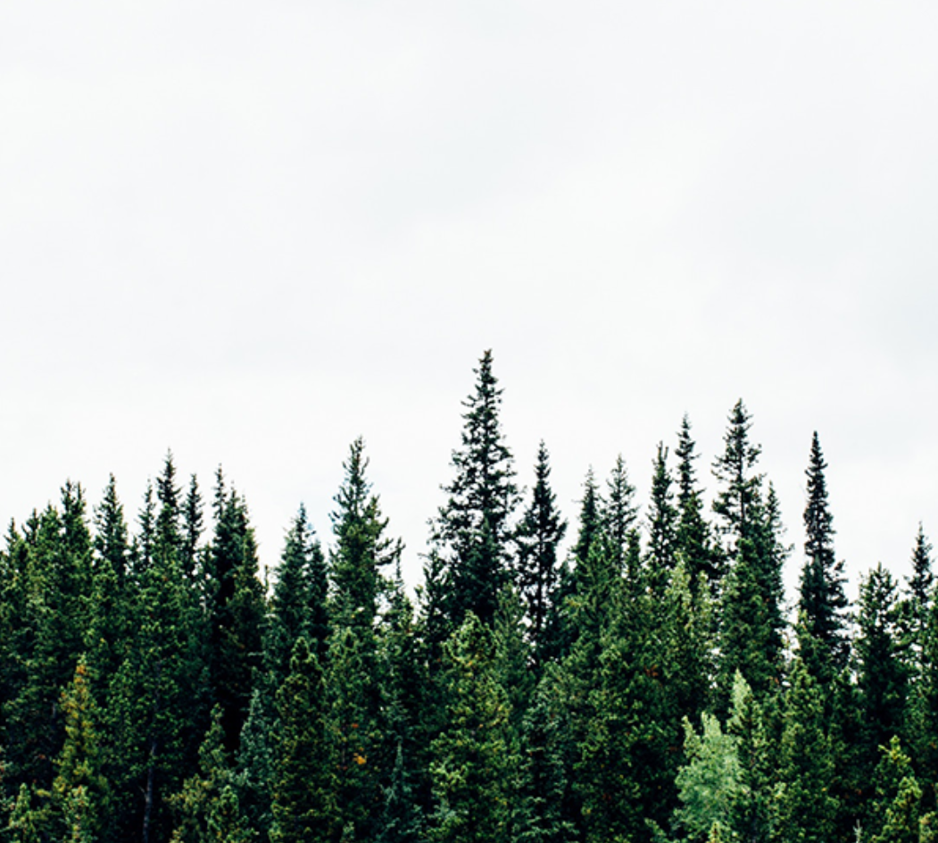 IS PESSIMISM ANTI-PENTECOSTAL? | Dr Katie Haldane