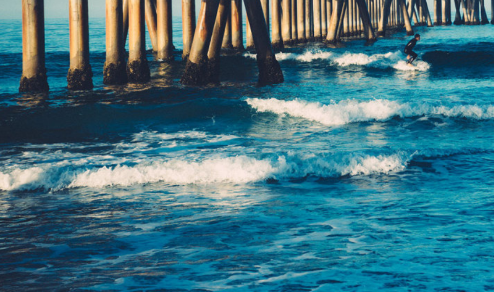 A PROPHETIC HISTORY | Nathan White