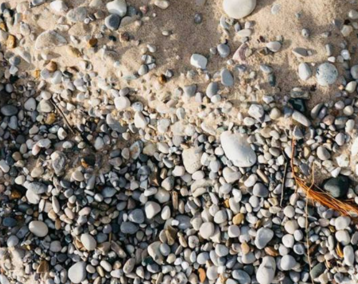 LOCUSTS? | Nathan Ross
