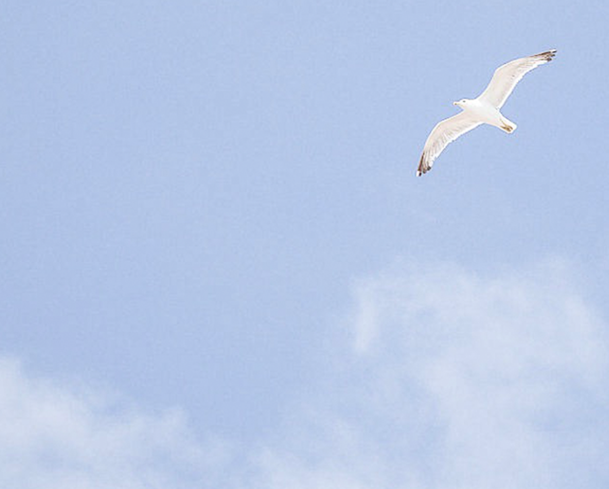 GOD IN MY POCKET: ARE WE COMFORTABLE WITH GOD ACTING LIKE GOD? | Dr Katie Haldane