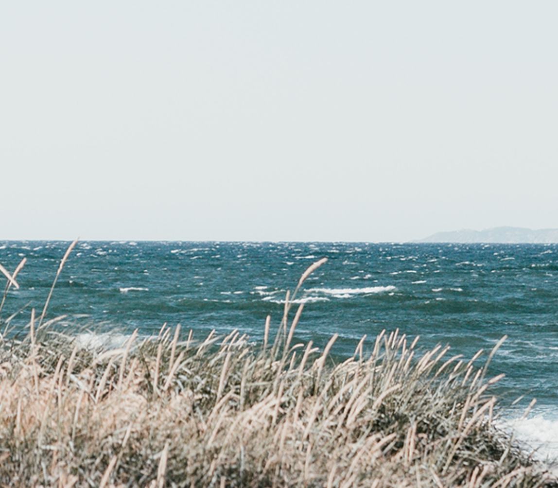 DUDE, WHERE ARE YOUR CLOTHES? | Dr Katie Haldane
