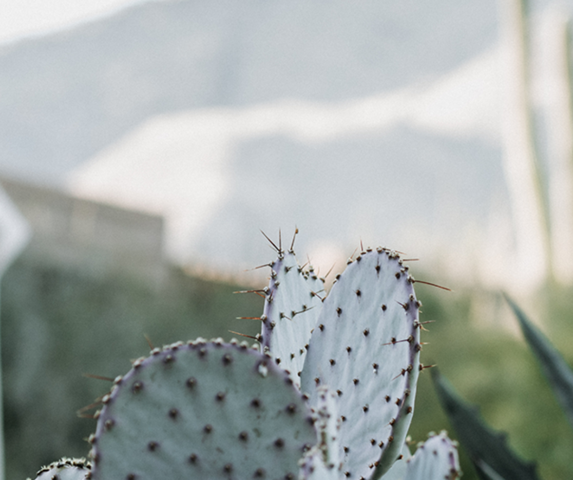 2 CORINTHIANS – PART 2 | Dr Adam White