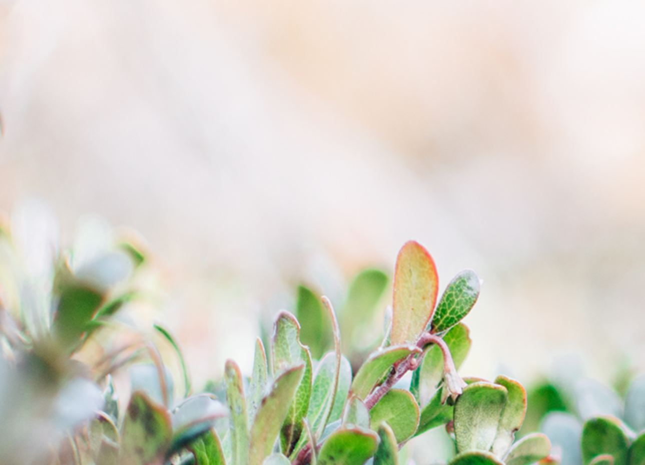 BE A ‘YET’ CHRISTIAN | Dr Katie Haldane