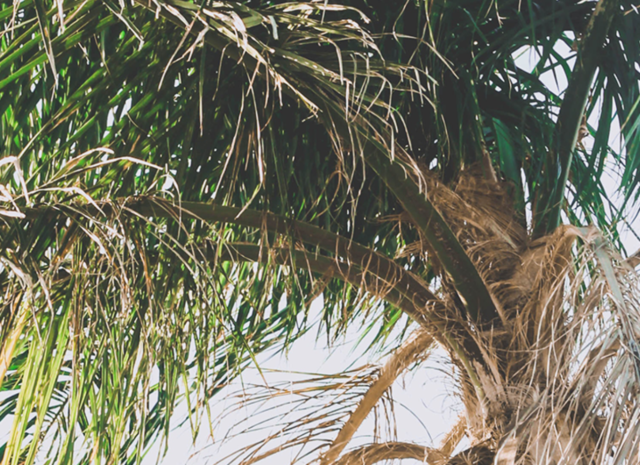 JUST BECAUSE YOU CAN DOESN’T MEAN YOU SHOULD | Dr Katie Haldane