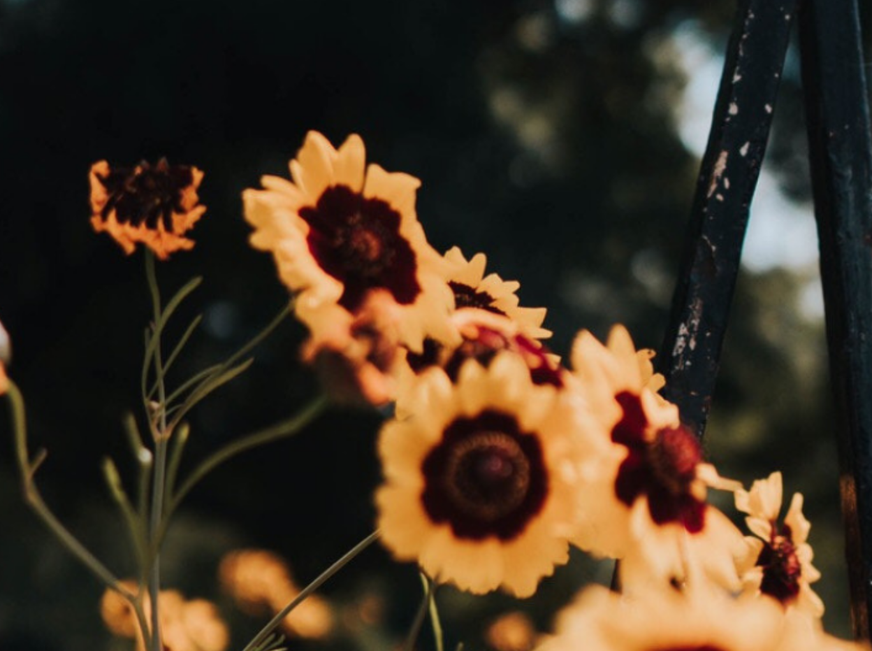 TWO WAYS TO LIVE - PARALLELS IN GALATIANS | Dr Katie Haldane
