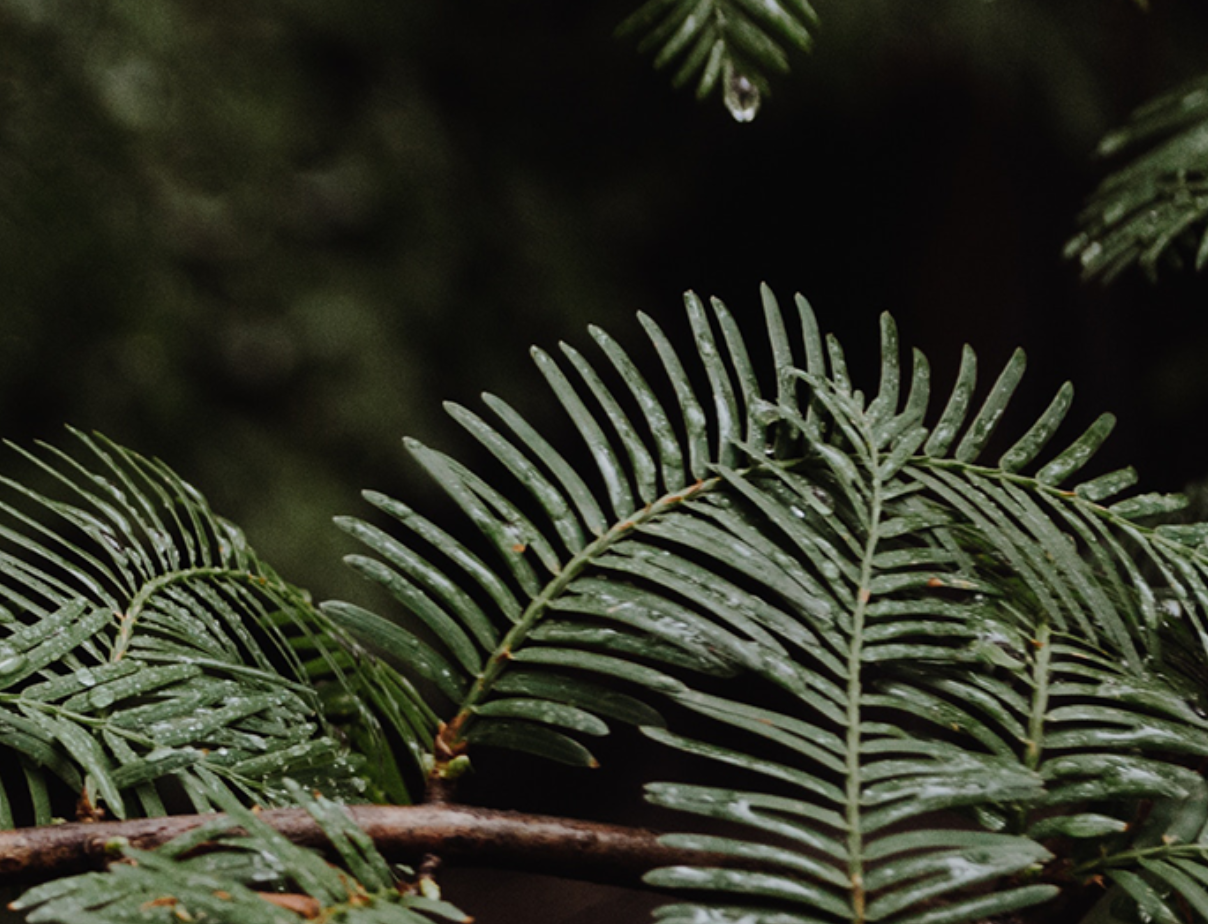 FAITHFUL LIVING IN AN UNFAITHFUL WORLD | Ps Kate Forsyth