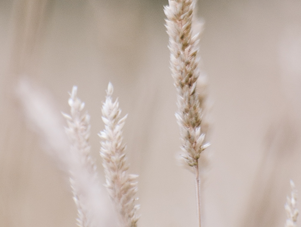 ARE YOU TALKING TO ME? | Dr Katie Haldane