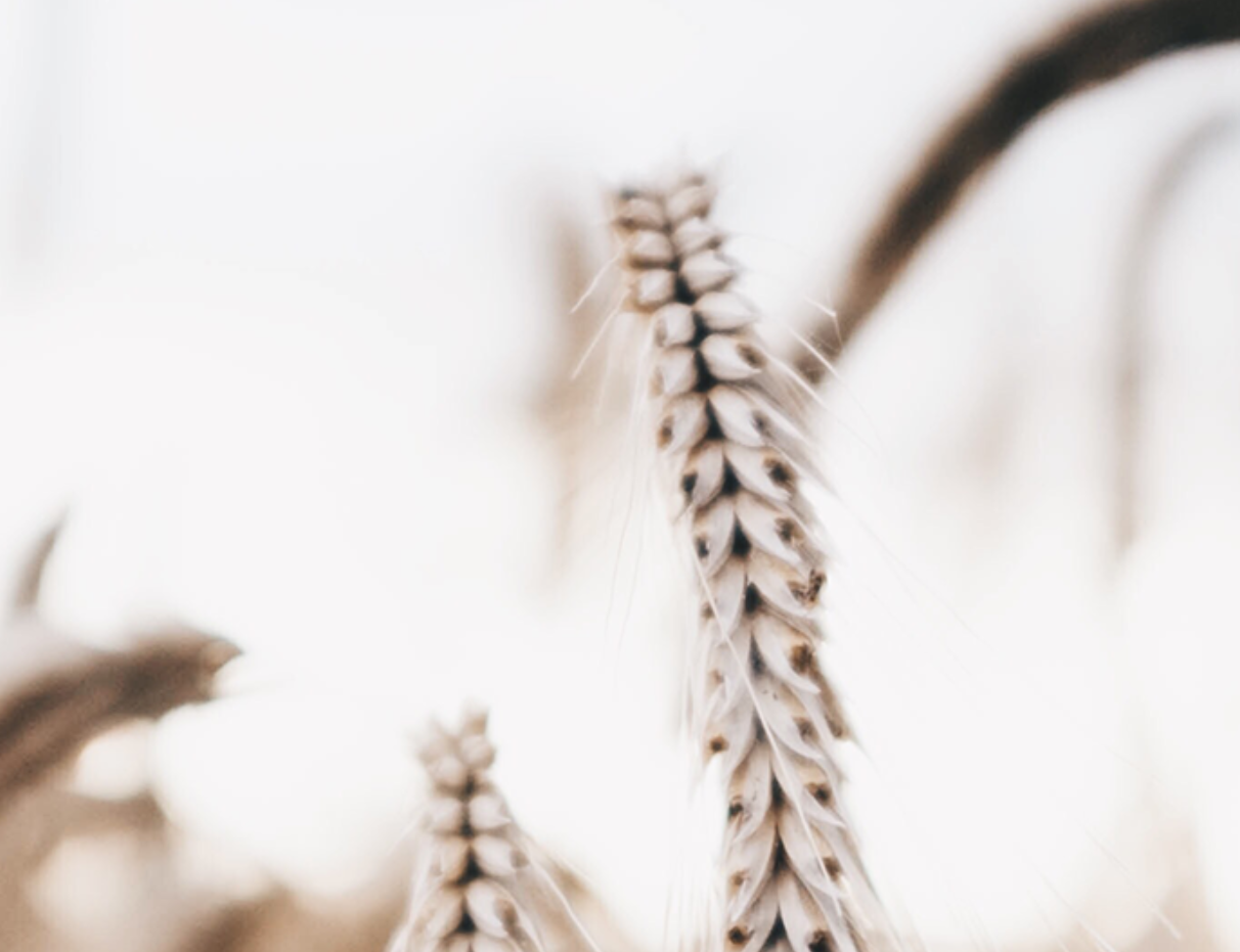 PATTERNS WITH POWER | Dr Katie Haldane