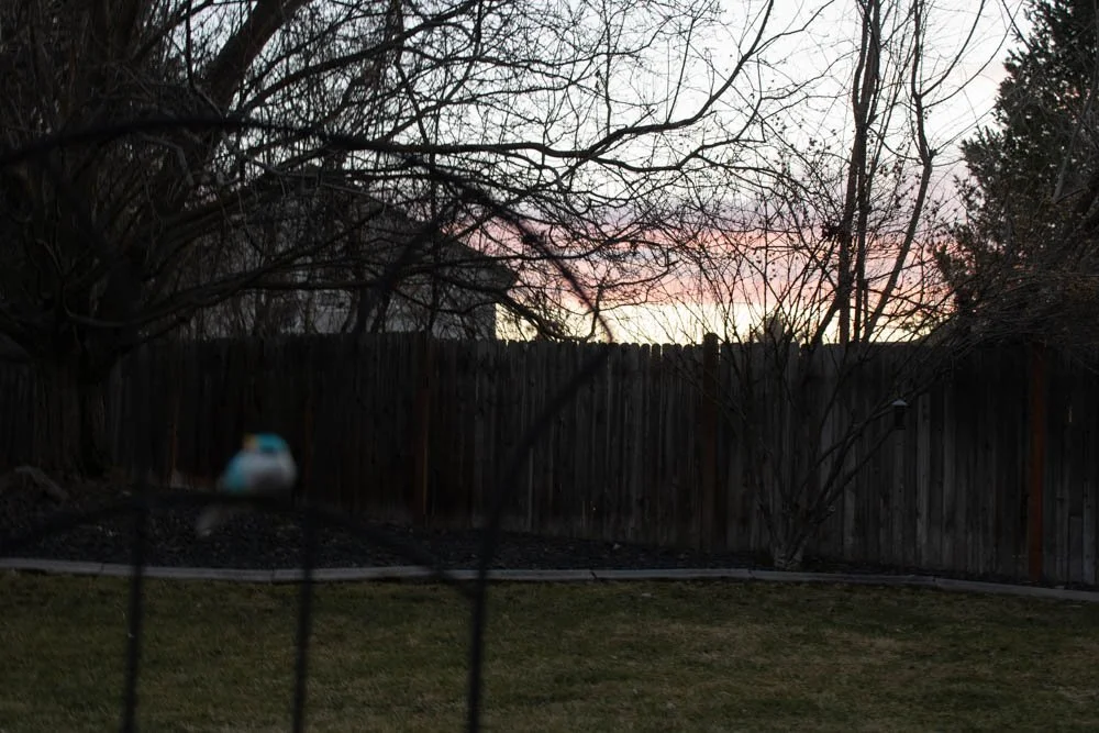 Art252002-SP25-AlysonDeAnda-lightcolorlandscape_twilight.jpg