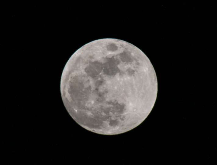 Lunar Life