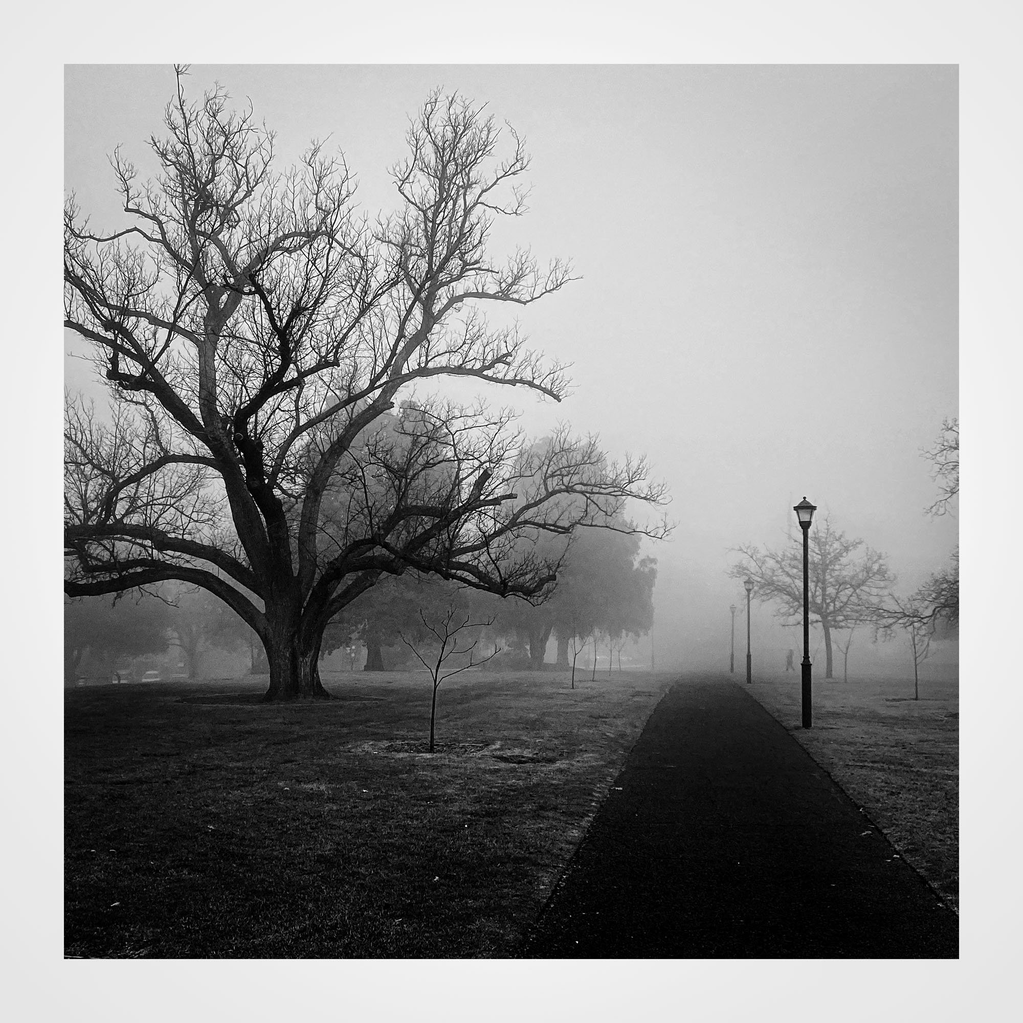 ArtforSale__18719.jpg