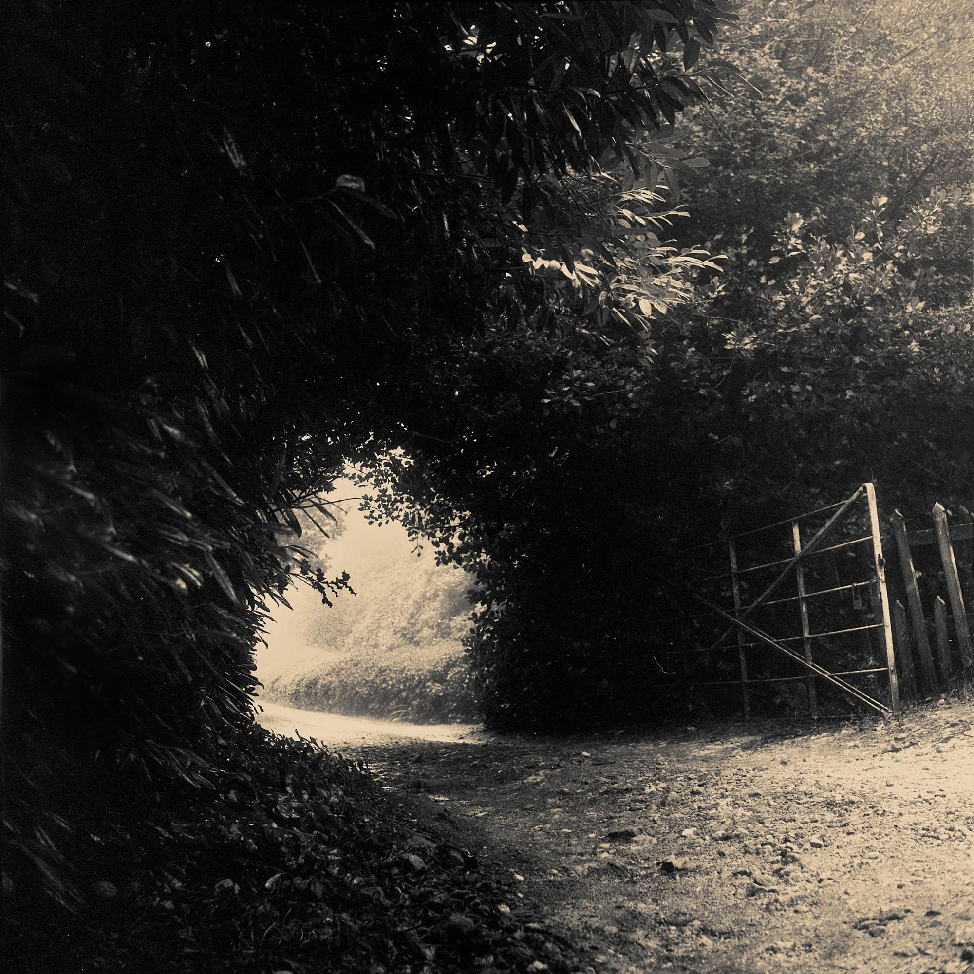 ArtforSale__109.jpg