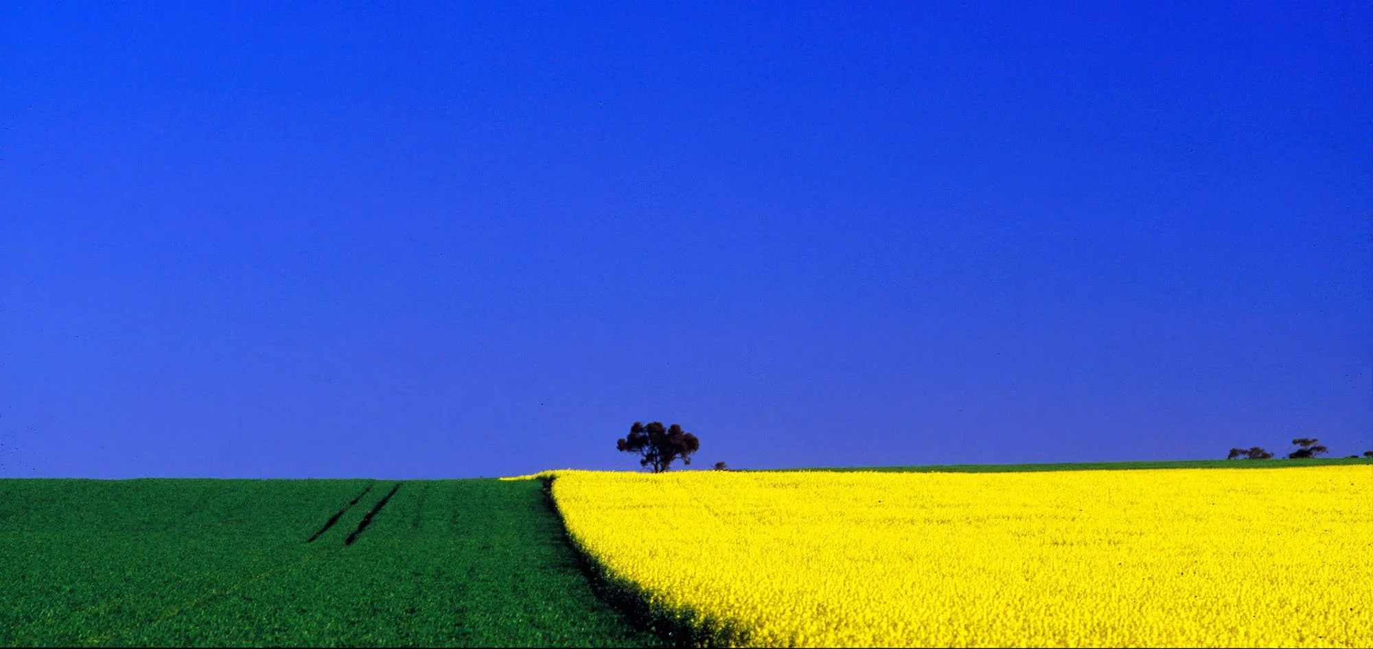 ArtforSale__105.jpg