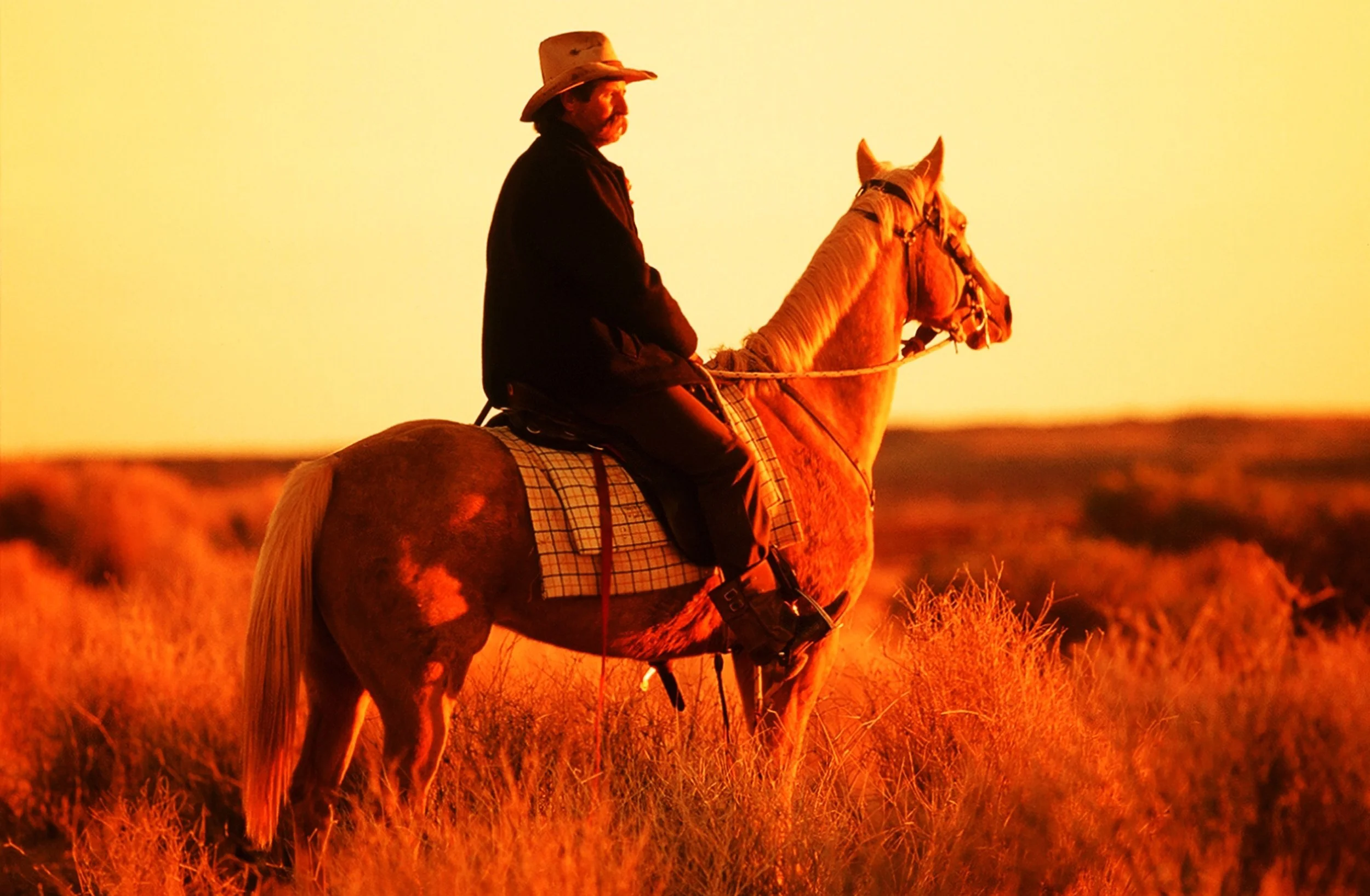 Cowboy_13.jpg