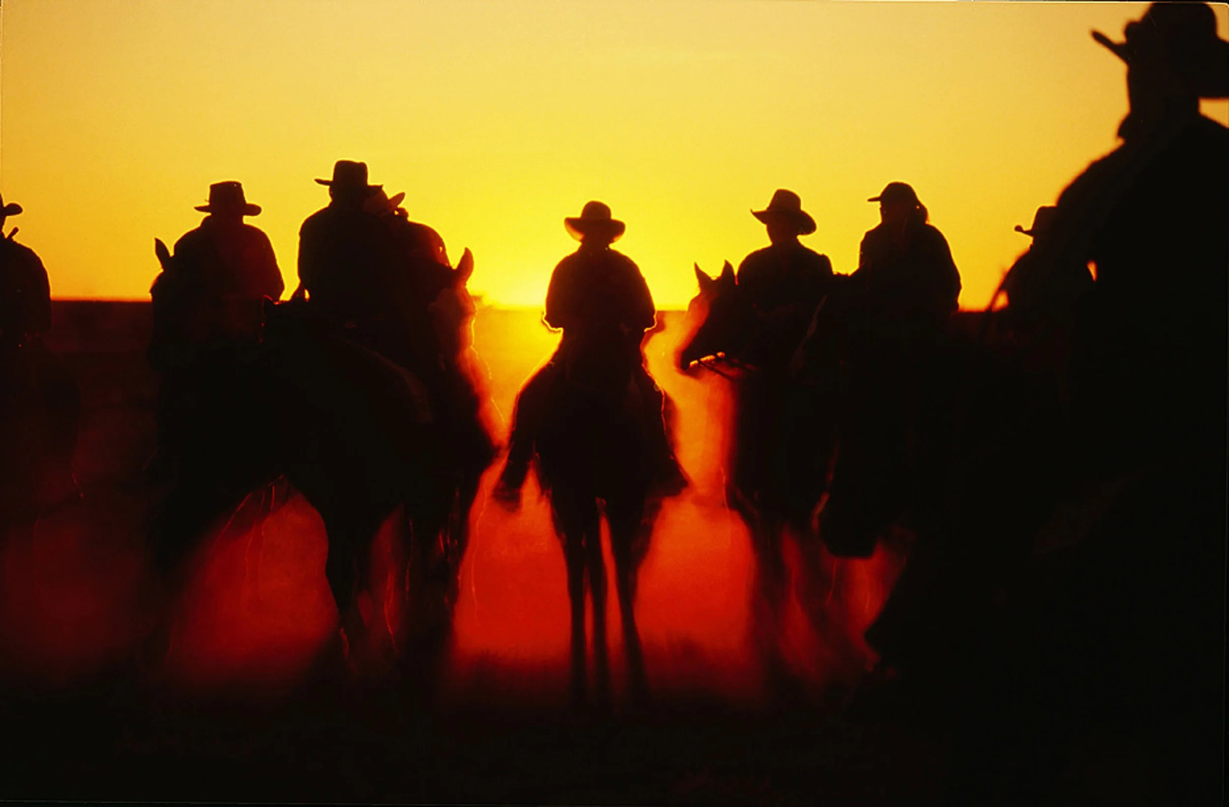 Cowboy_42.jpg