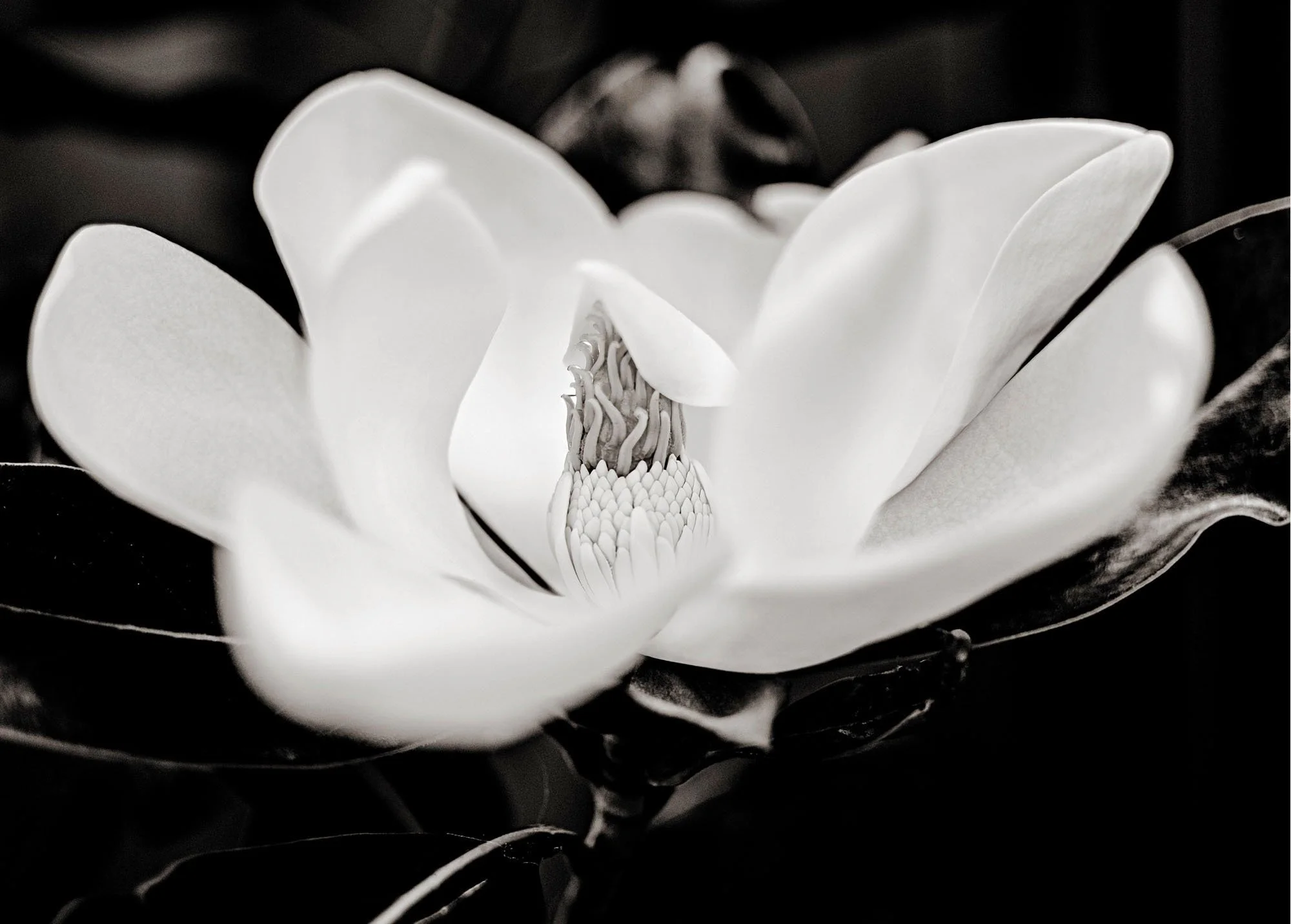 ArtforSale__131.jpg
