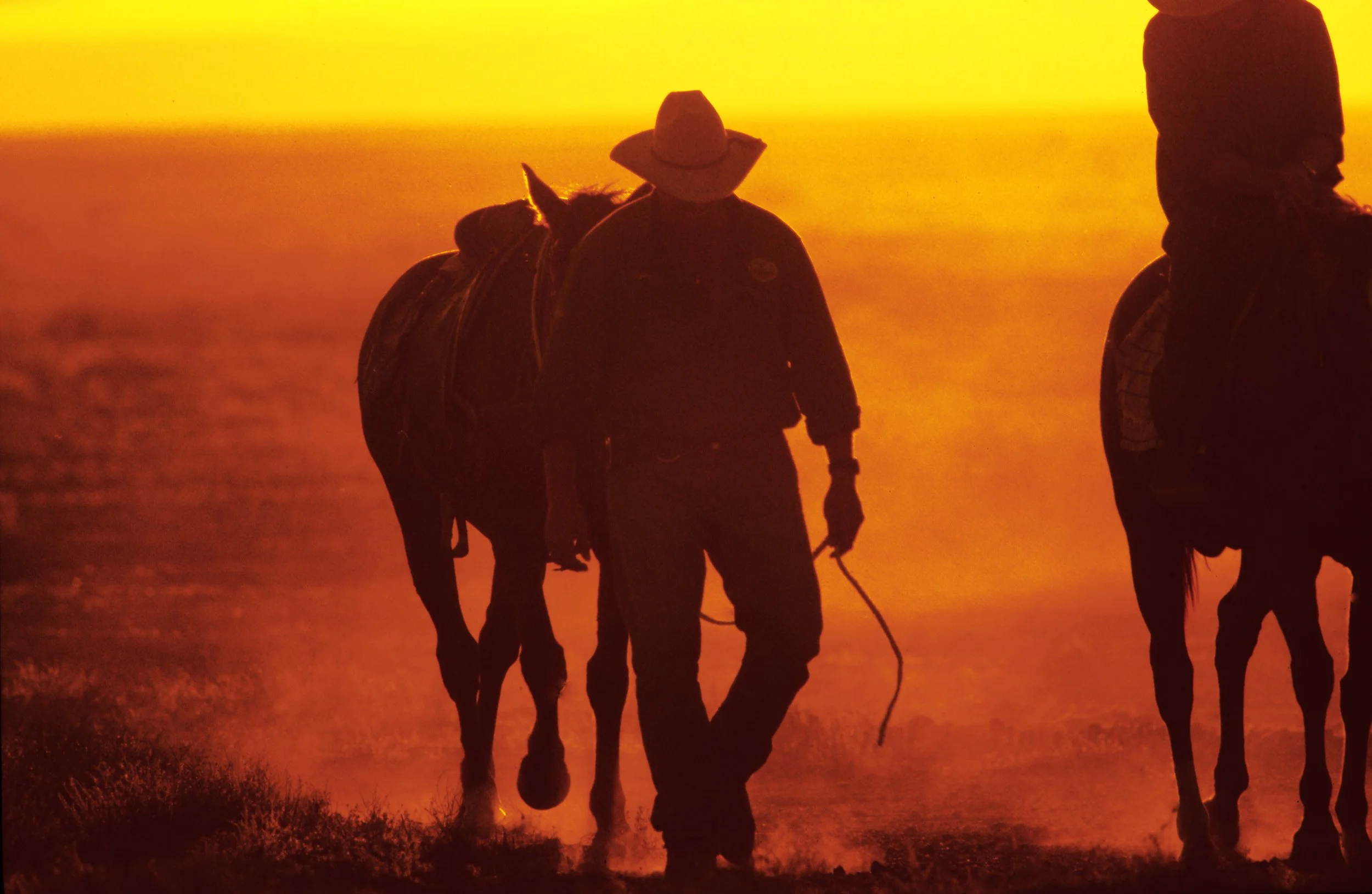 Cowboy_44.jpg