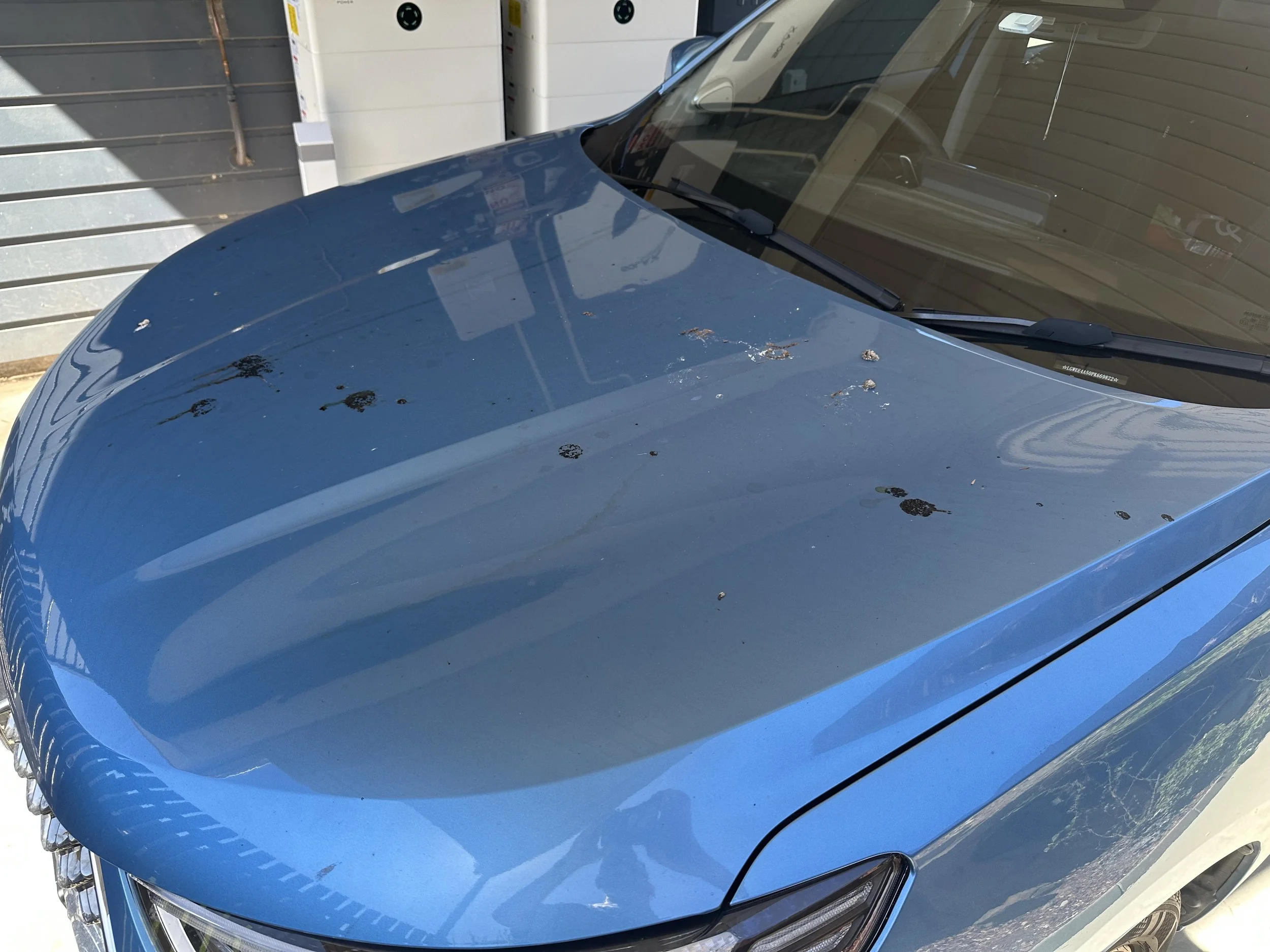 Close-up of a blue car's hood with some dirt and debris, parked next to a garage door and white cabinets.
