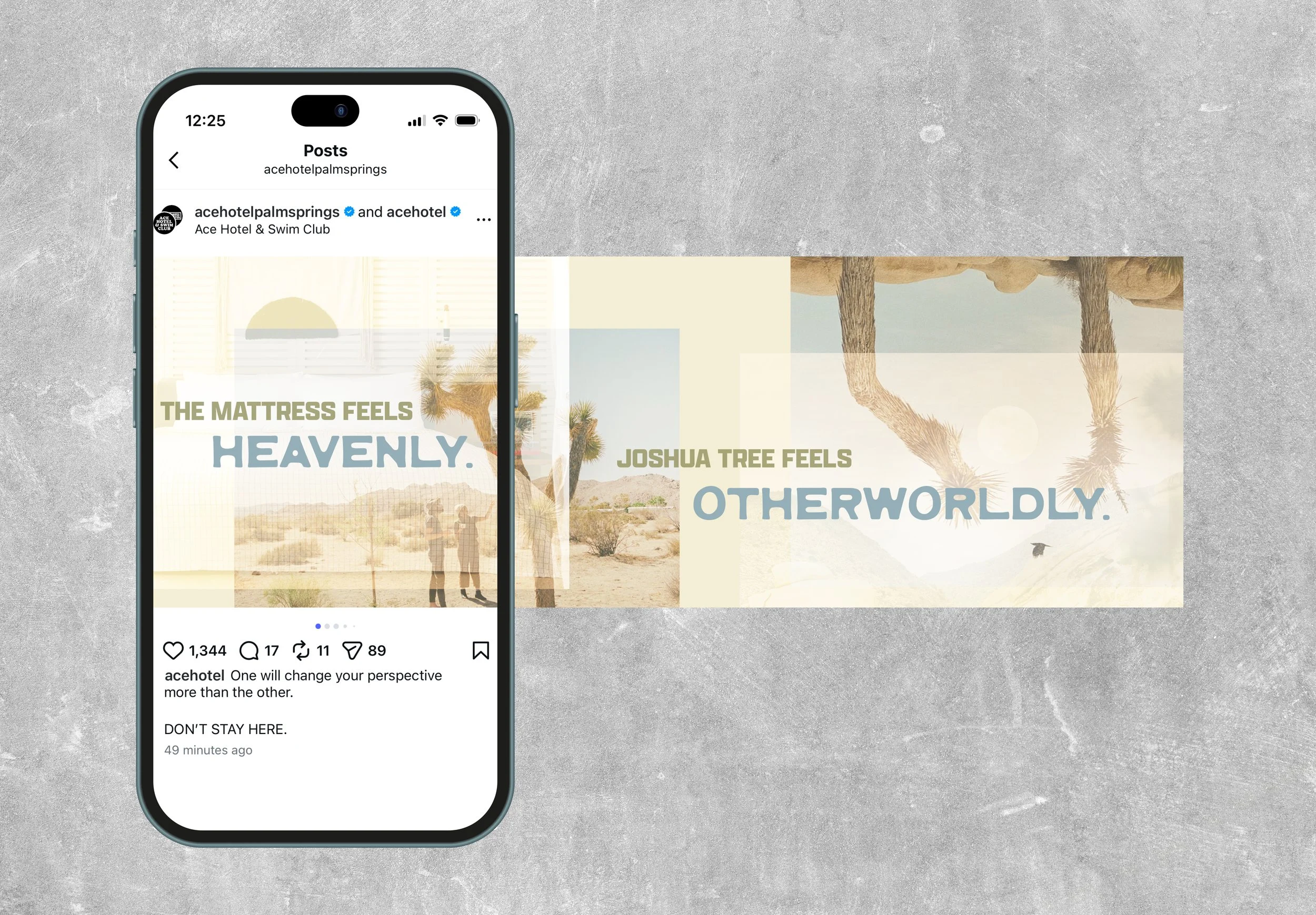 joshua tree phone insta mock.jpg