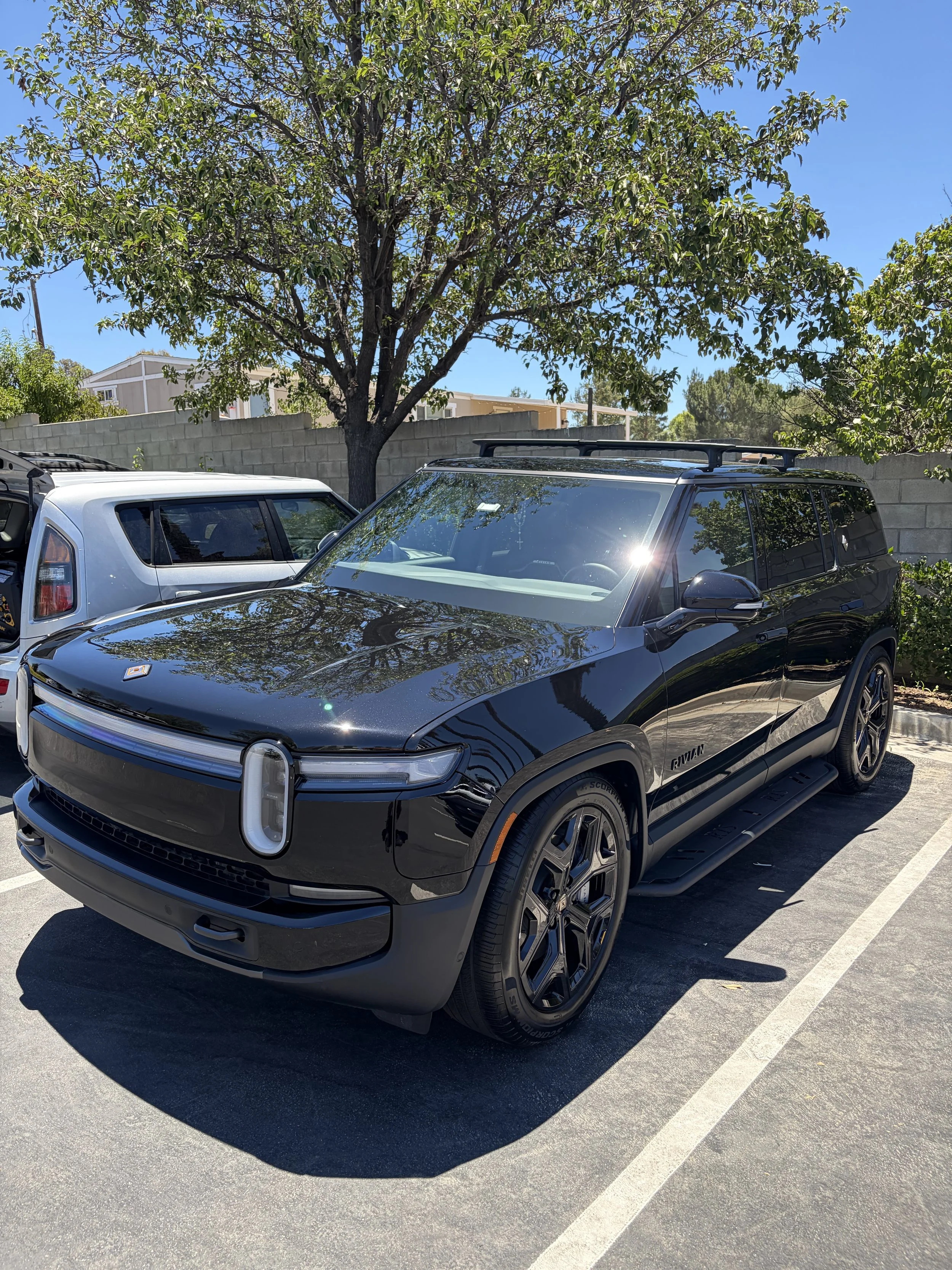 Black electric SUV with tinted windows parked next to a tree in a parking lot under clear blue sky.