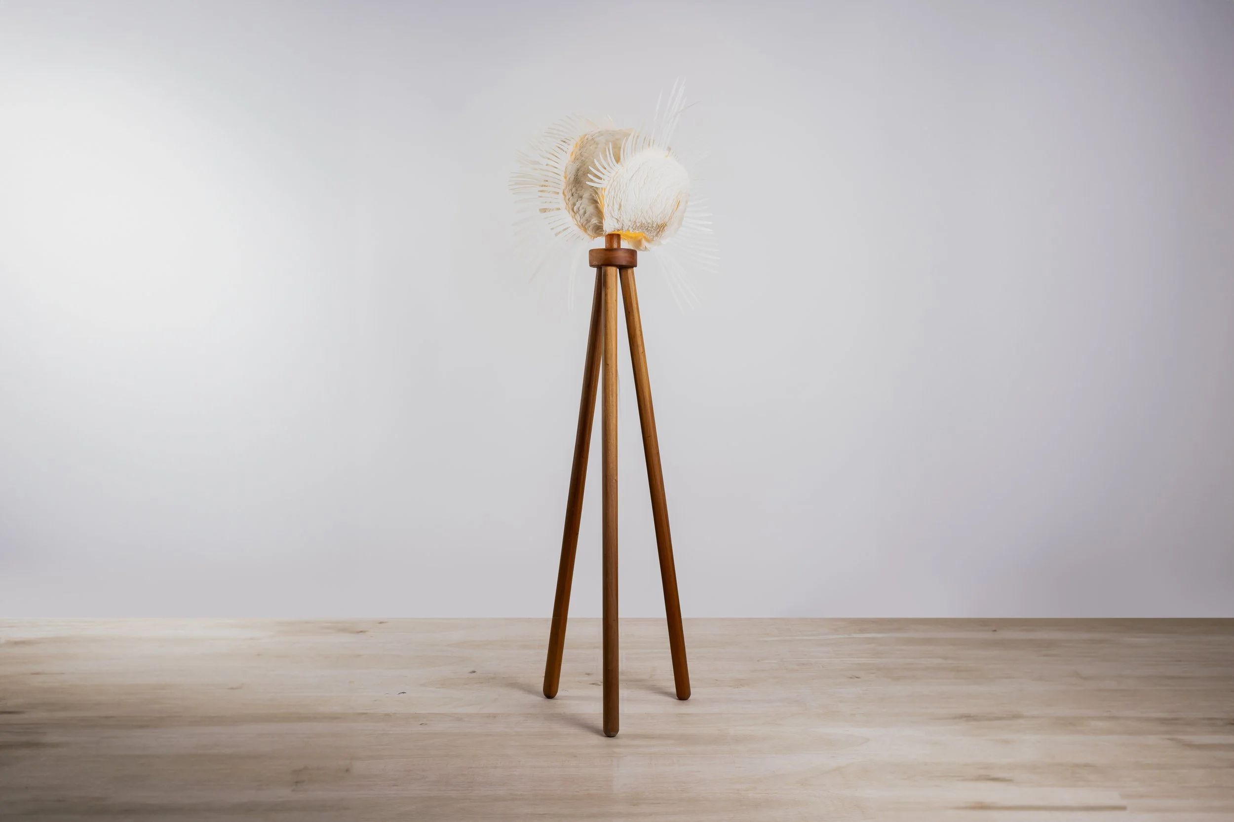 Design Anthology - Emerge - 198.jpg