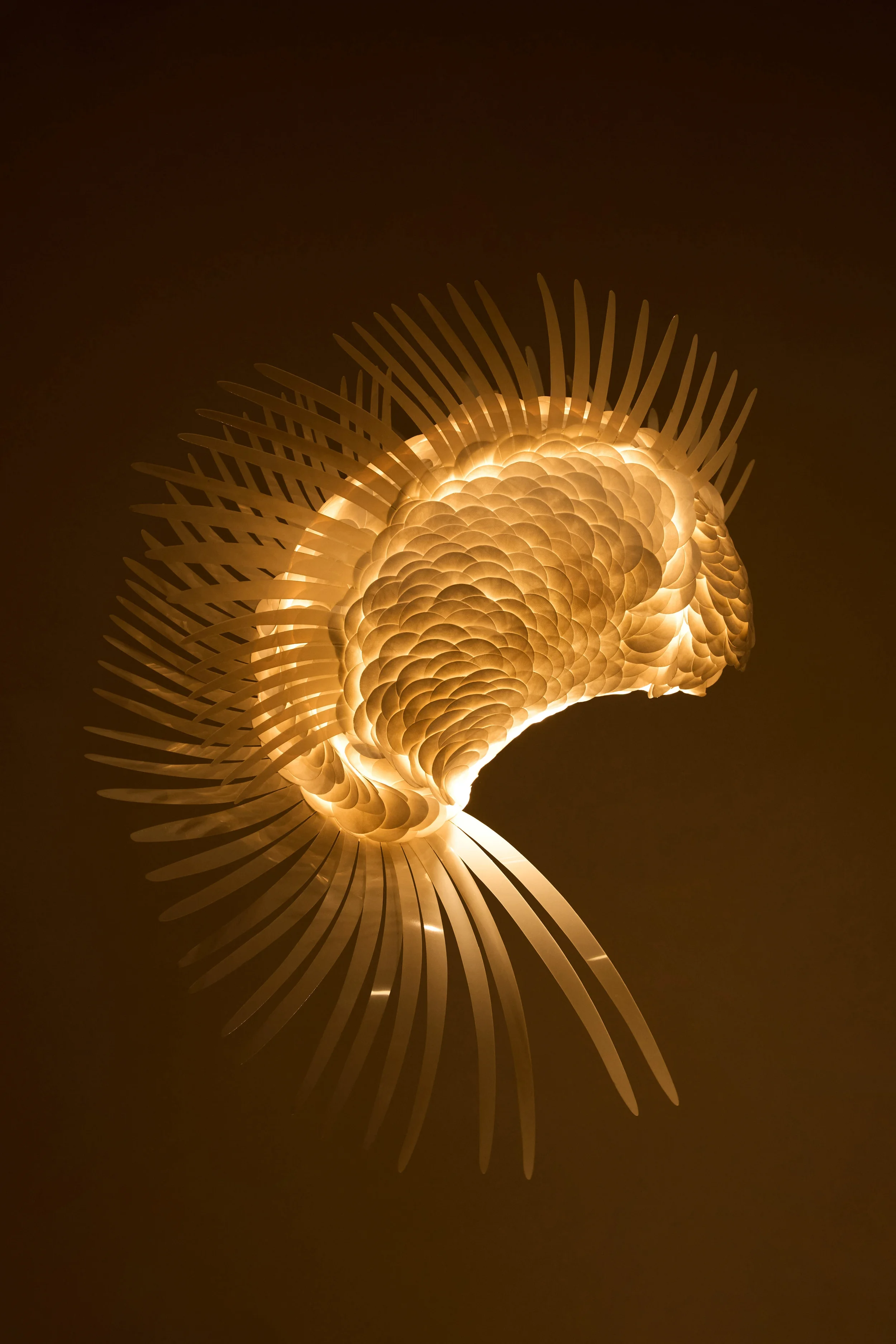 Kaia Hanging Lamp