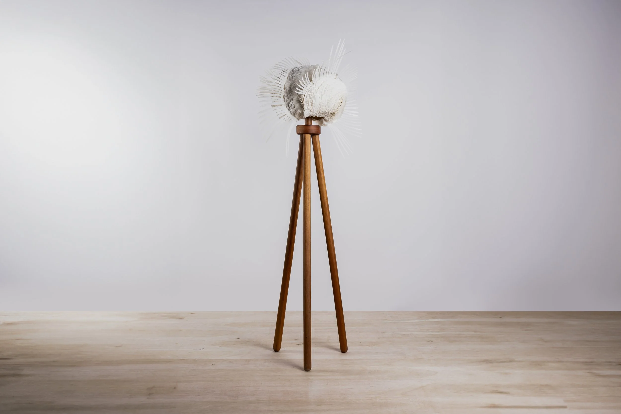 Design Anthology - Emerge - 199.jpg