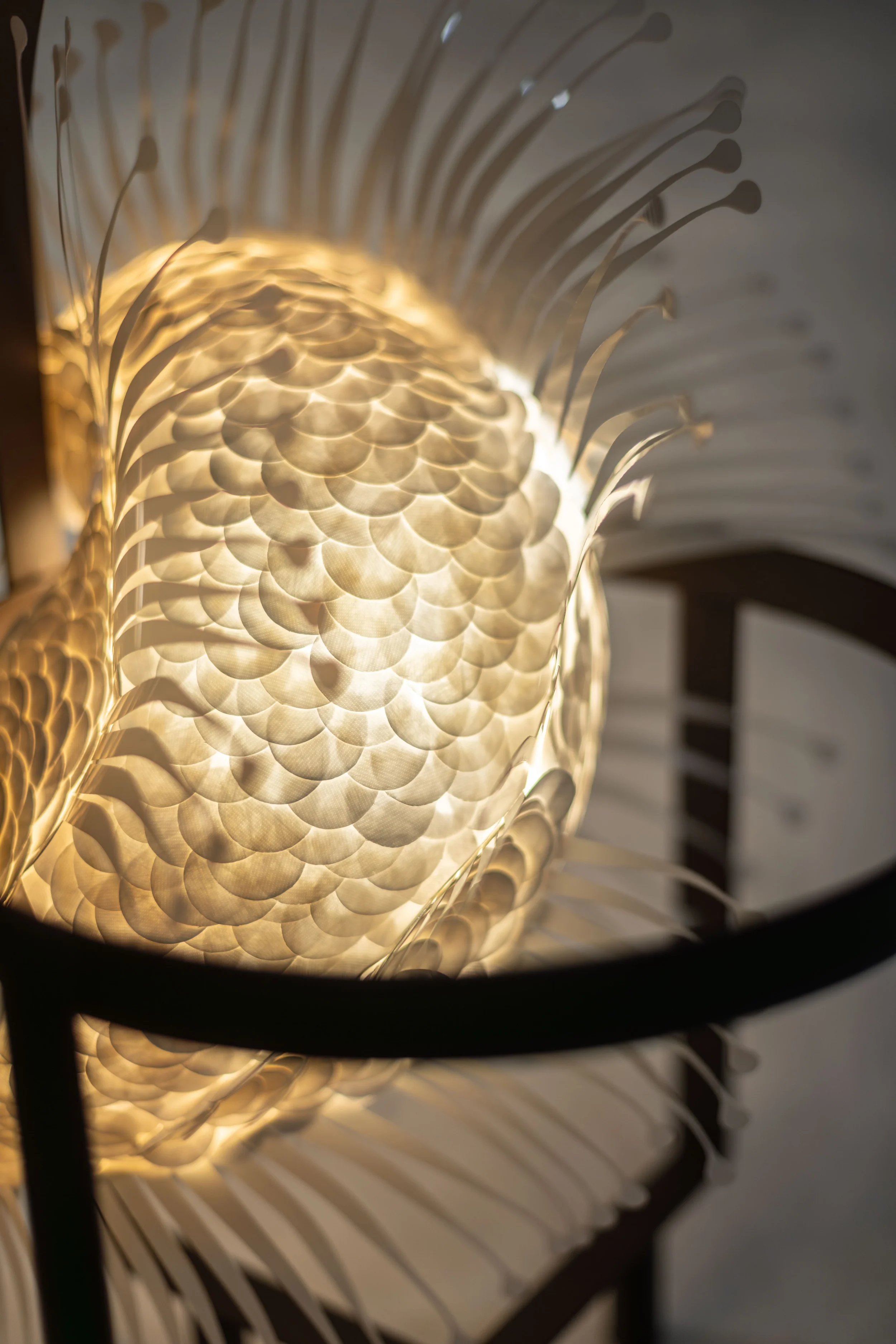 Nyxie close up.webp
