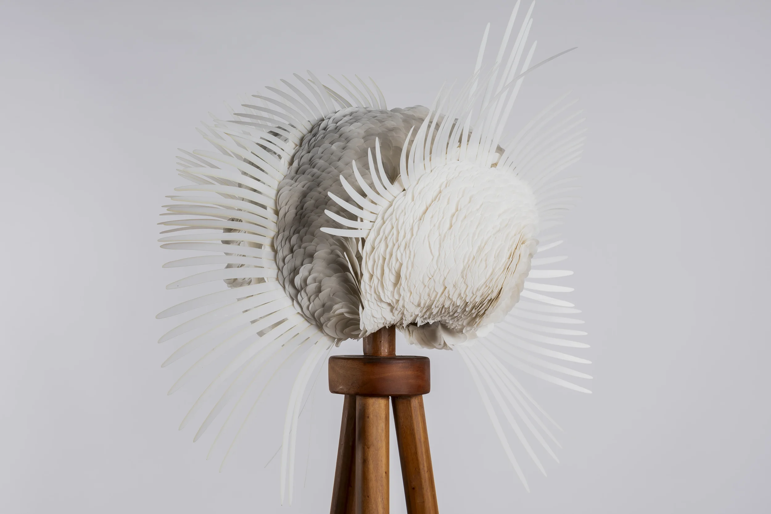 Design Anthology - Emerge - 202.webp