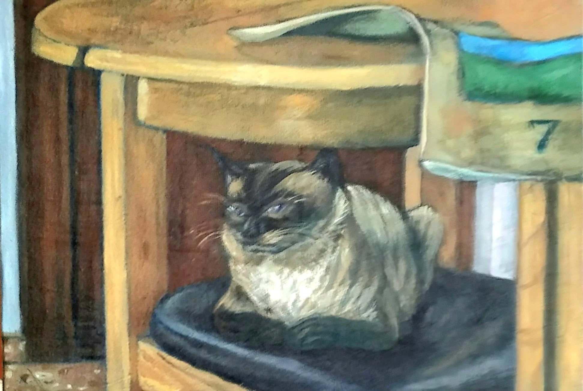 Gato en una silla