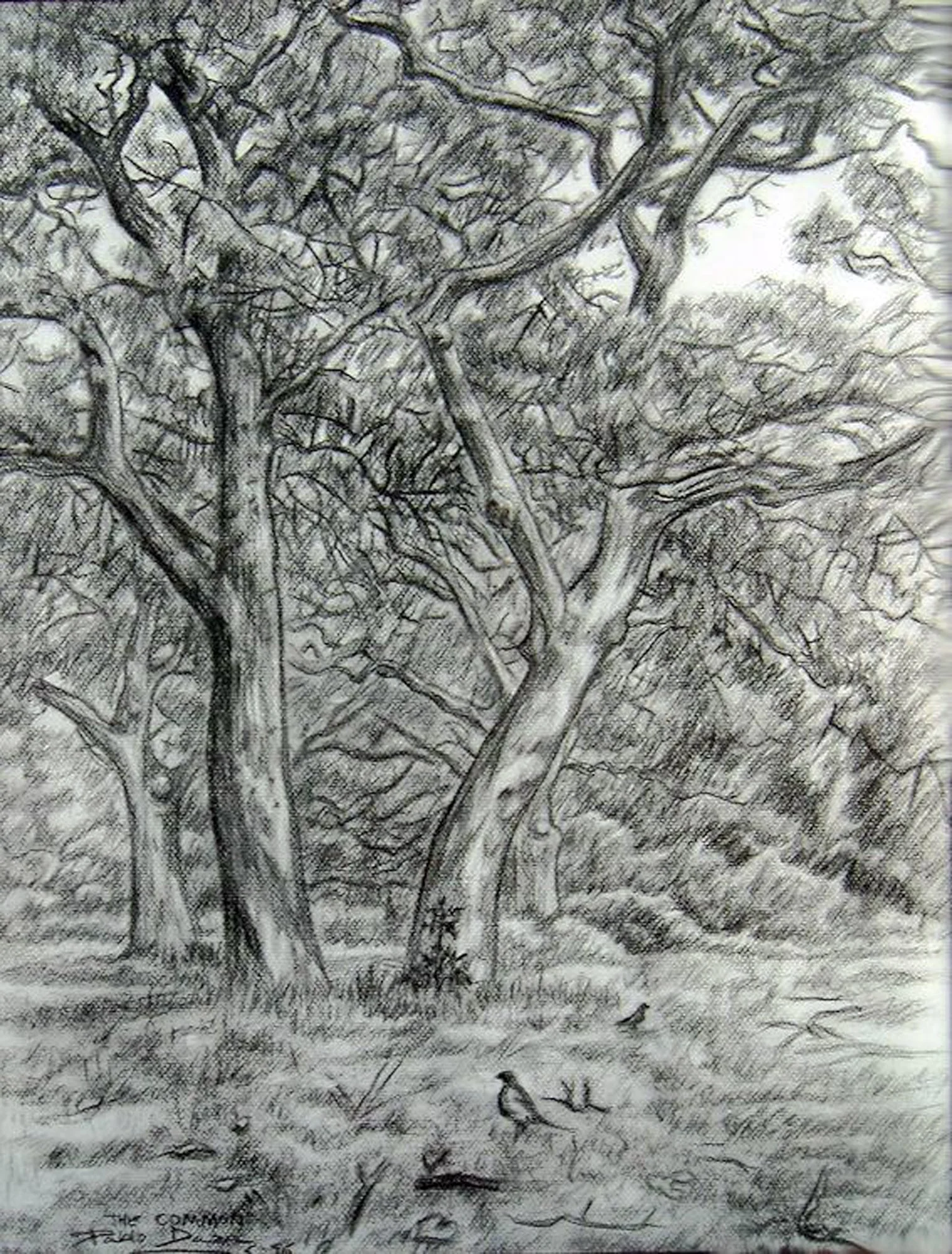 The Common. Southampton.