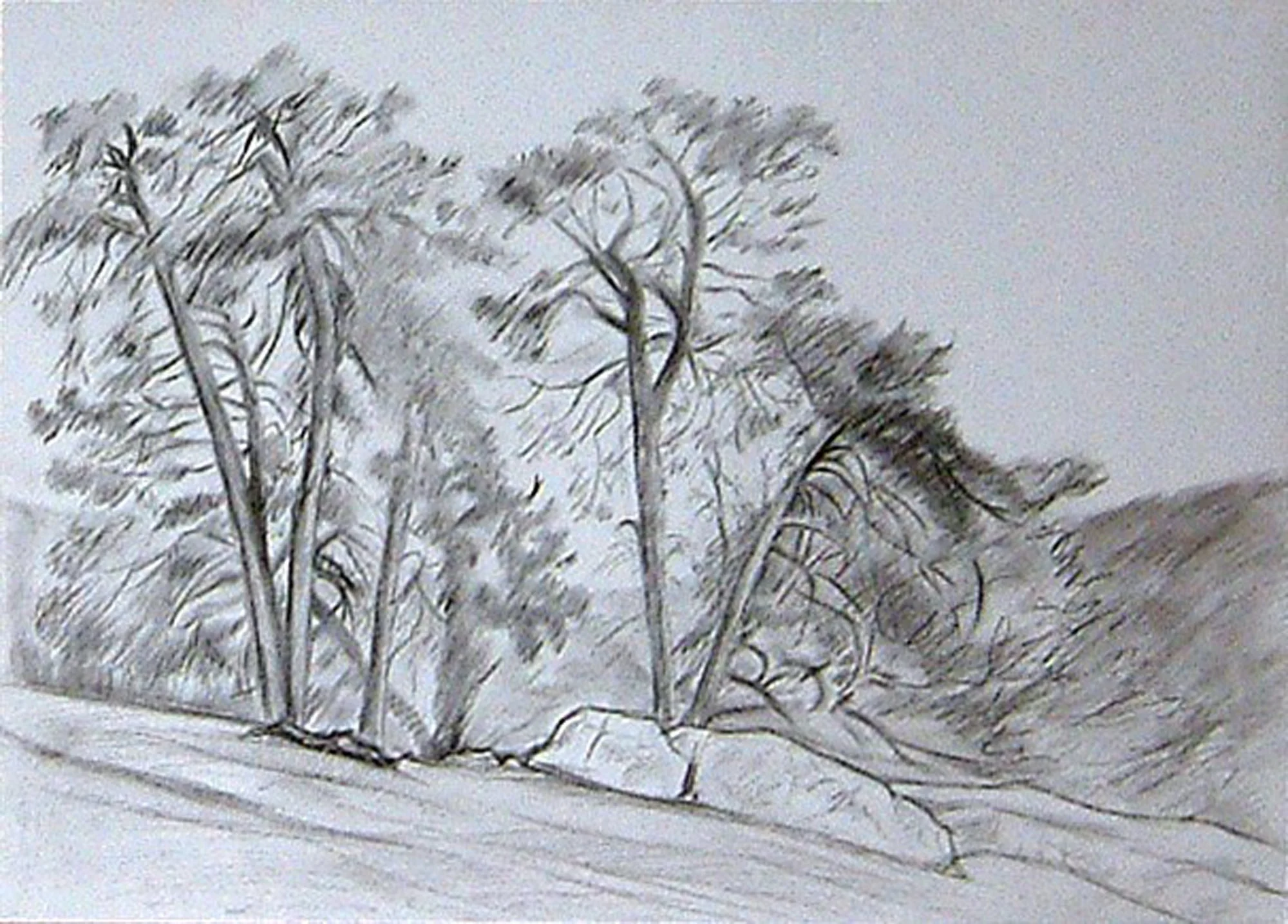 Revenga. Quintanar de la Sierra.