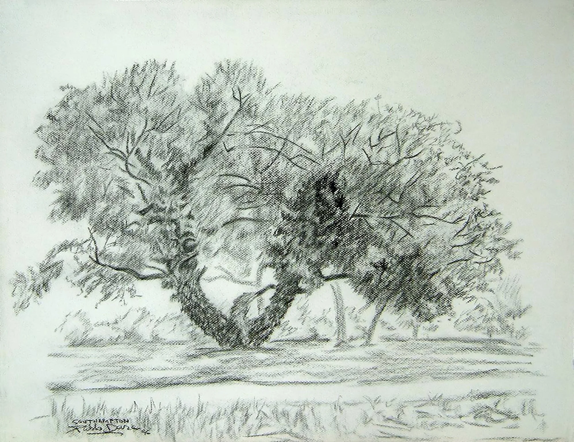 The Common.