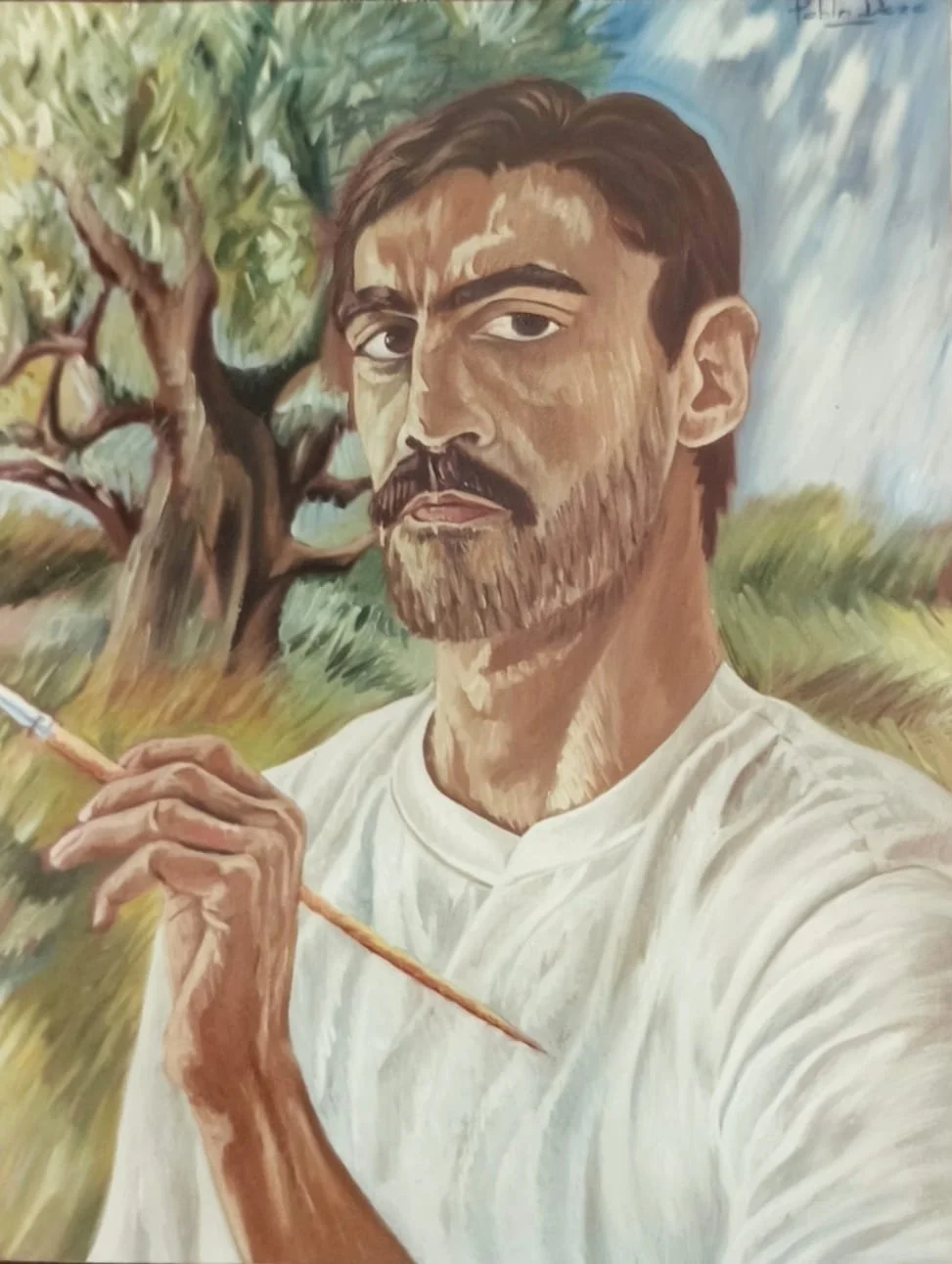 Ante un olivo.