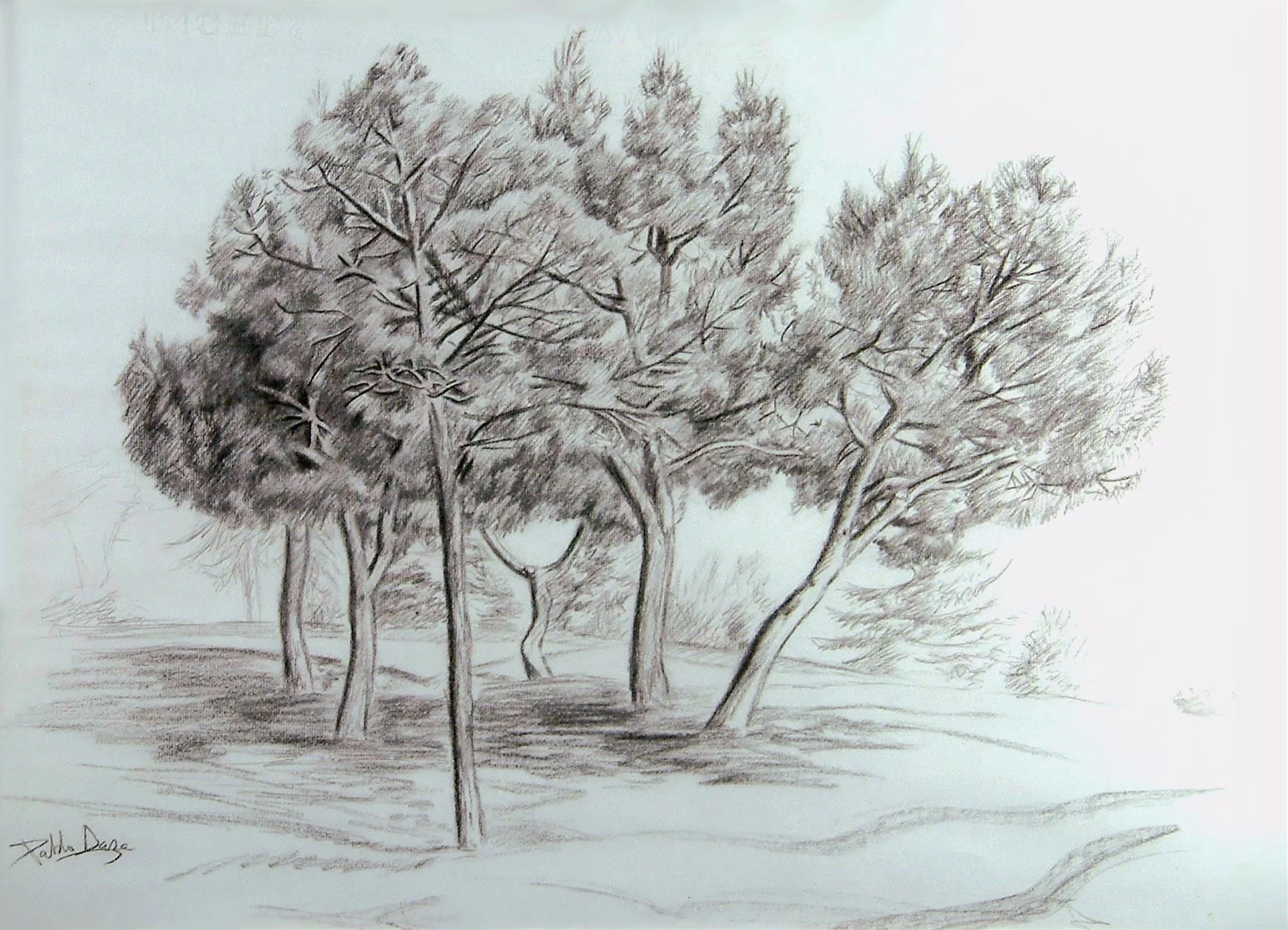 Parque en Las Rozas.