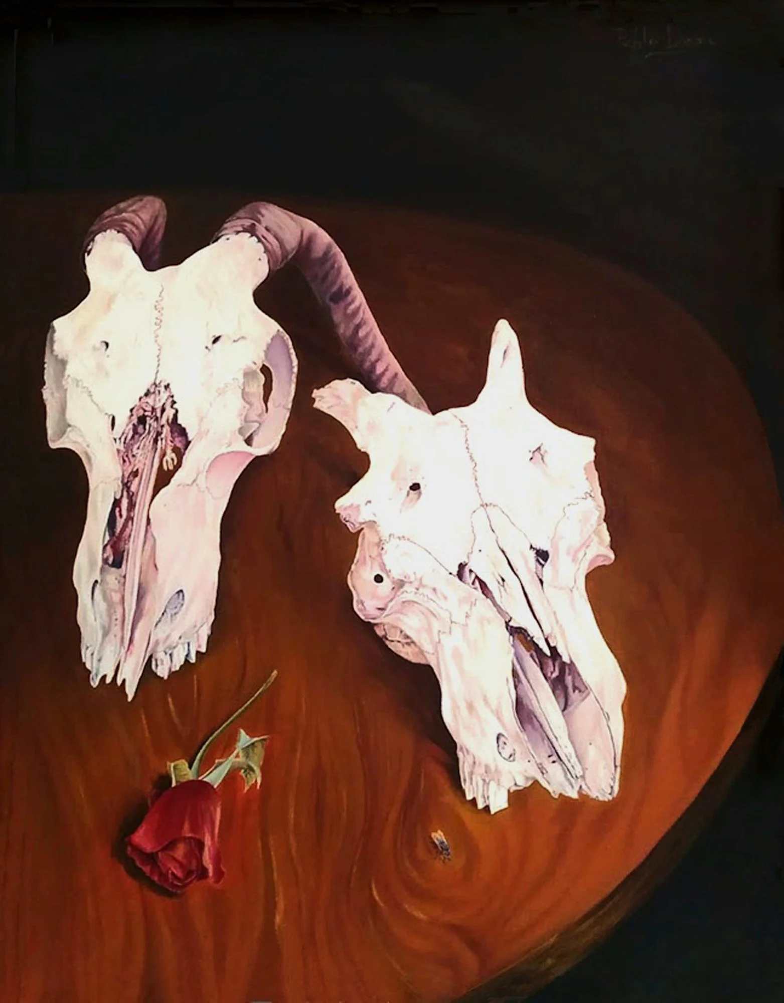 Vanitas.
