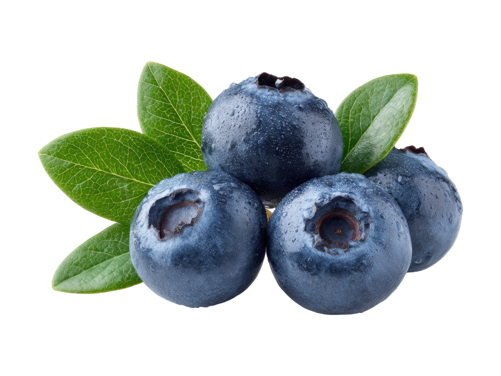 Cluster of four blueberries with water droplets and green leaves.