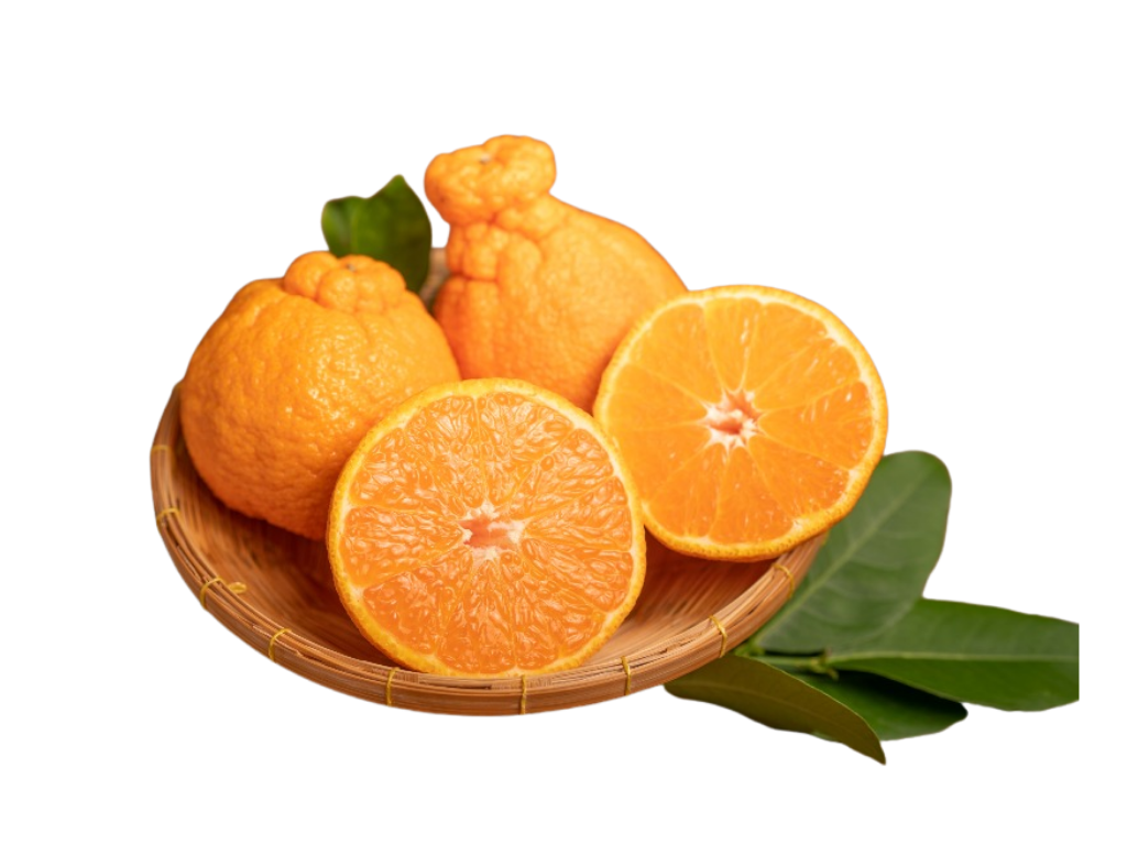 A wooden basket containing three yellow oranges, two of which are whole and one cut in half, showing the orange interior. Green leaves are placed beside the basket.