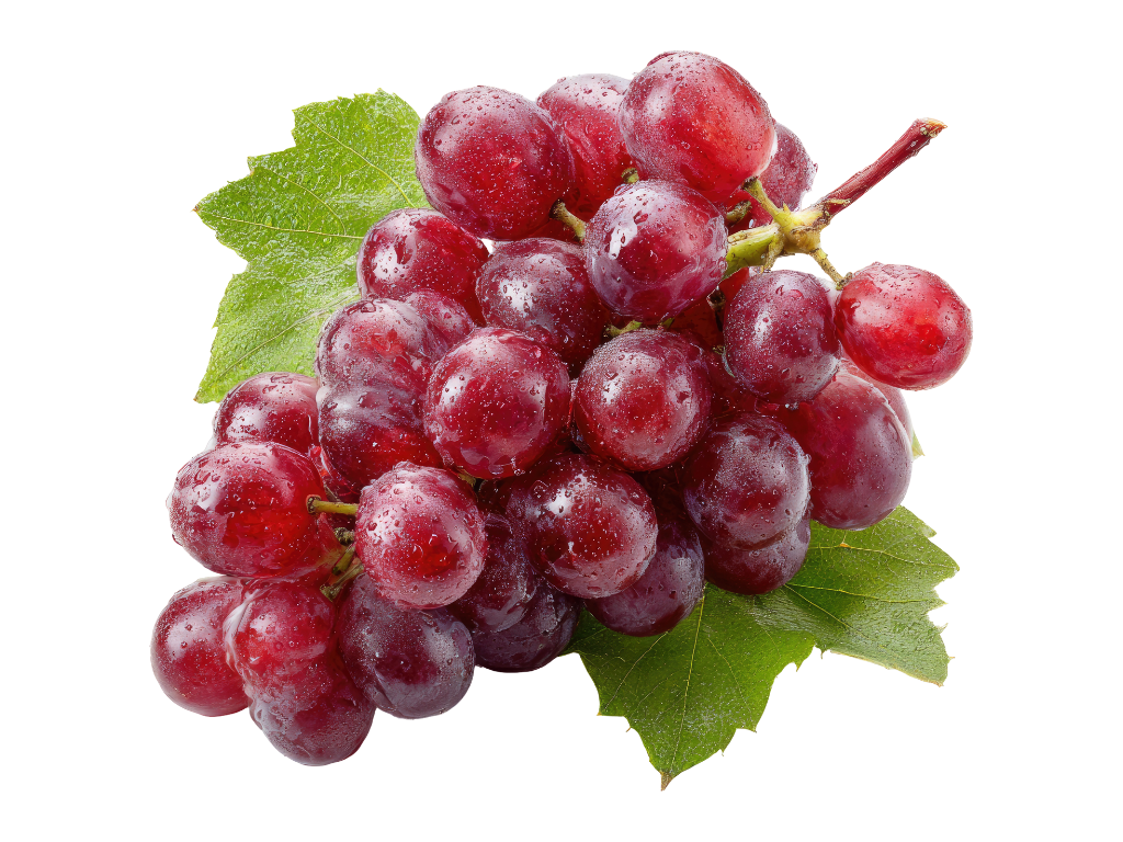 A bunch of red grapes with water droplets on them, set on green grape leaves.