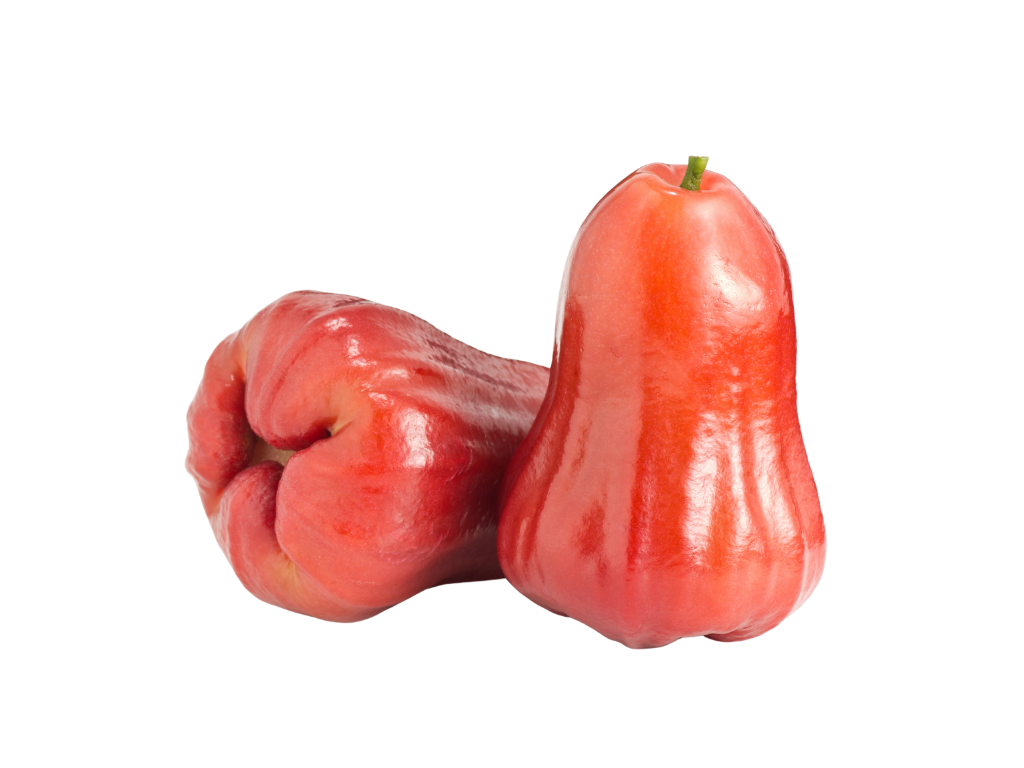Two rose apples, one upright and one tilted, with smooth reddish-pink skin and a green stem on the top of the upright fruit.