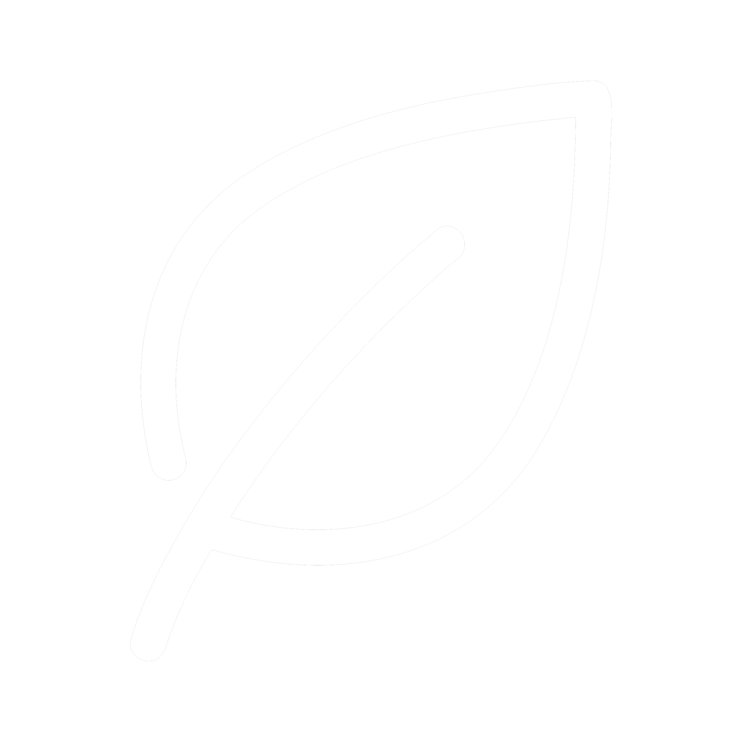 Minimalist black and white logo of a leaf with a stylized p inside it.