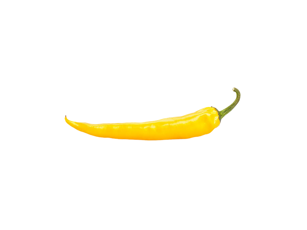 A yellow chili pepper on a white background.