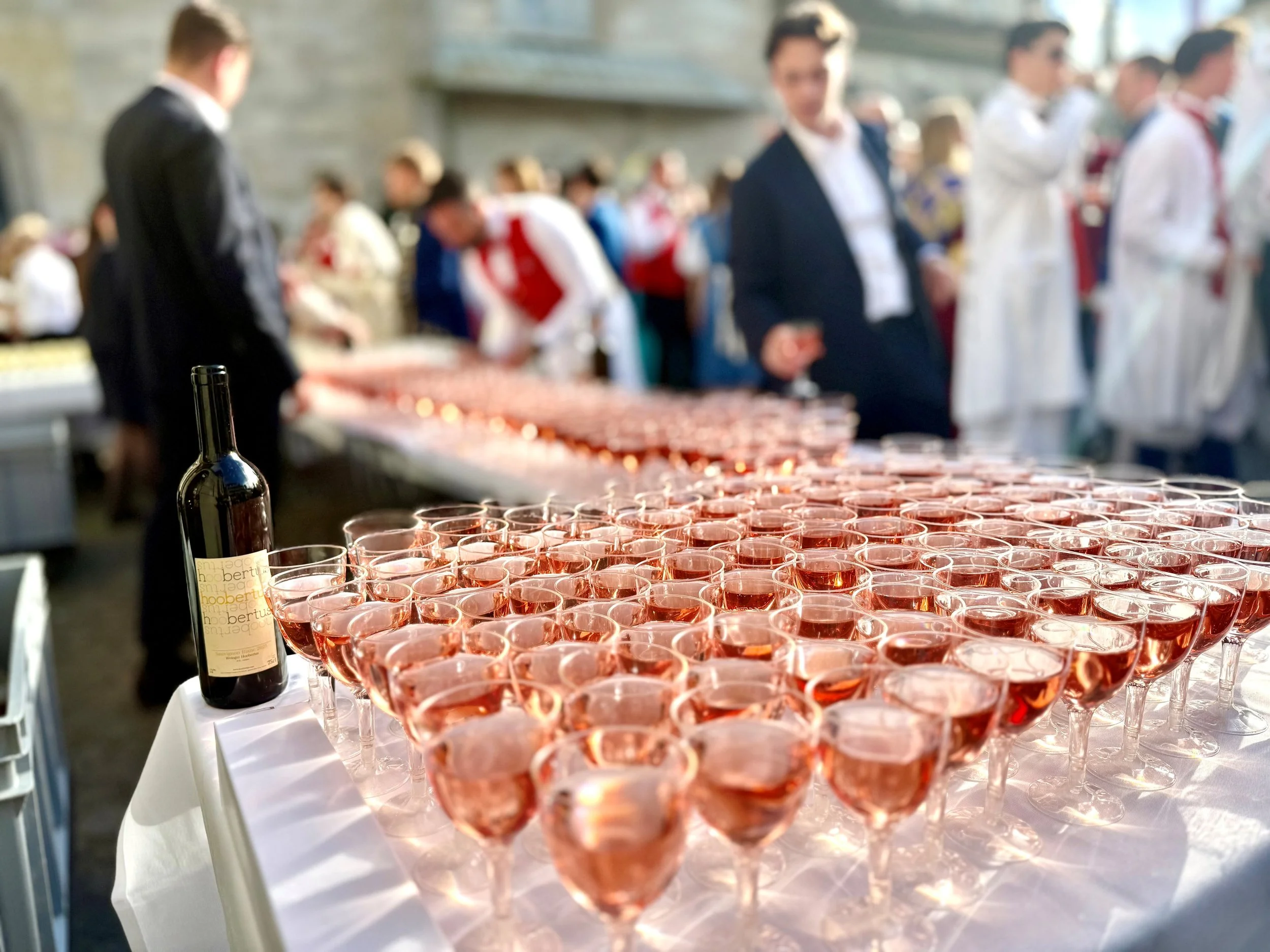 Premiere für Hoobertus am Zürcher Sächsilüüte 2026