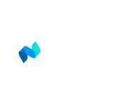 Netvisor.png