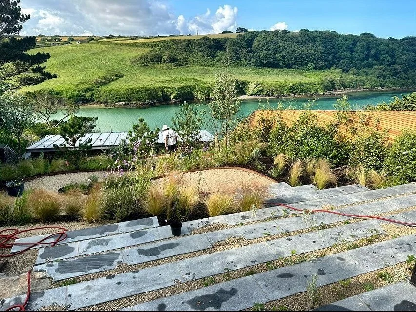 G A N N E L.  L E G A C Y. 21 #landscapjng #gardens #planting #rhs #cornwall #seaview  #construction