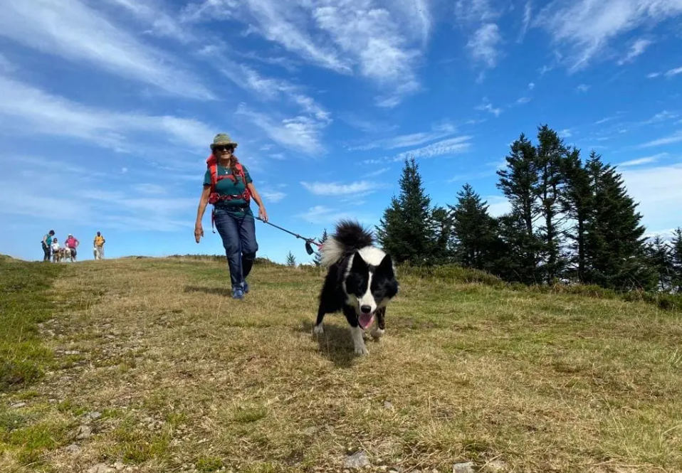 Une femme avec un chapeau, des lunettes et un sac à dos marche un chien noir et blanc en plein air. D'autres personnes marchent en arrière-plan. Le ciel est bleu avec quelques nuages, et il y a des arbres en arrière-plan.