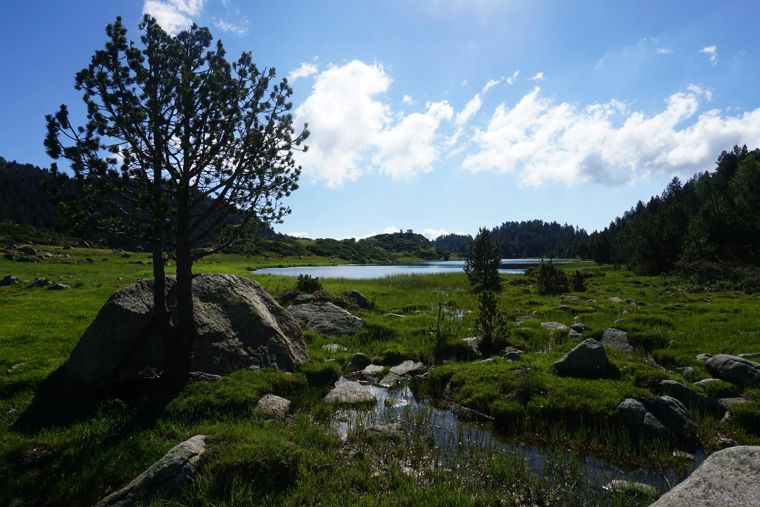 Paysage de montagne avec un lac, des arbres verts et un ciel bleu avec quelques nuages.