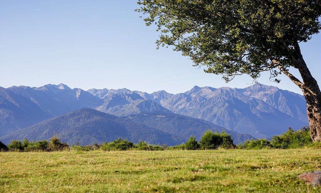 Un paysage naturel avec une grande montagne en arrière-plan, un arbre à droite et une étendue de pelouse verte au premier plan.