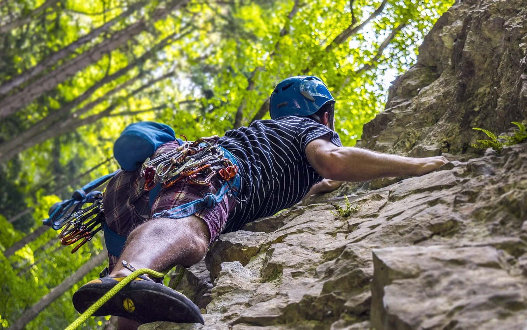 Hommes faisant de l'escalade sur une paroi rocheuse dans une forêt verdoyante.